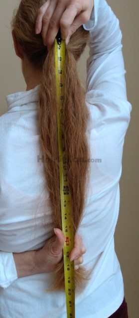 hair length 2