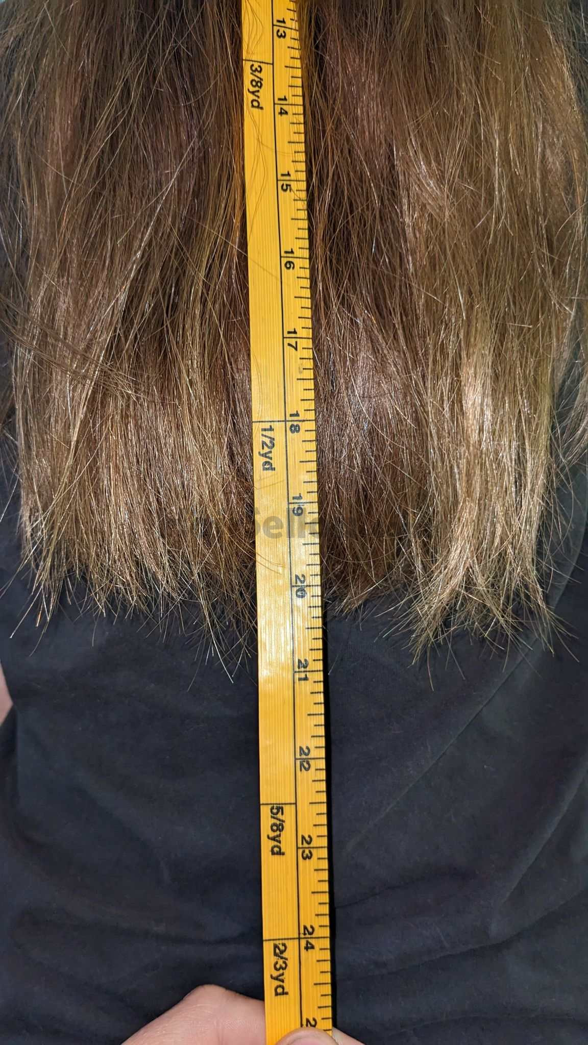 Hair Length 1