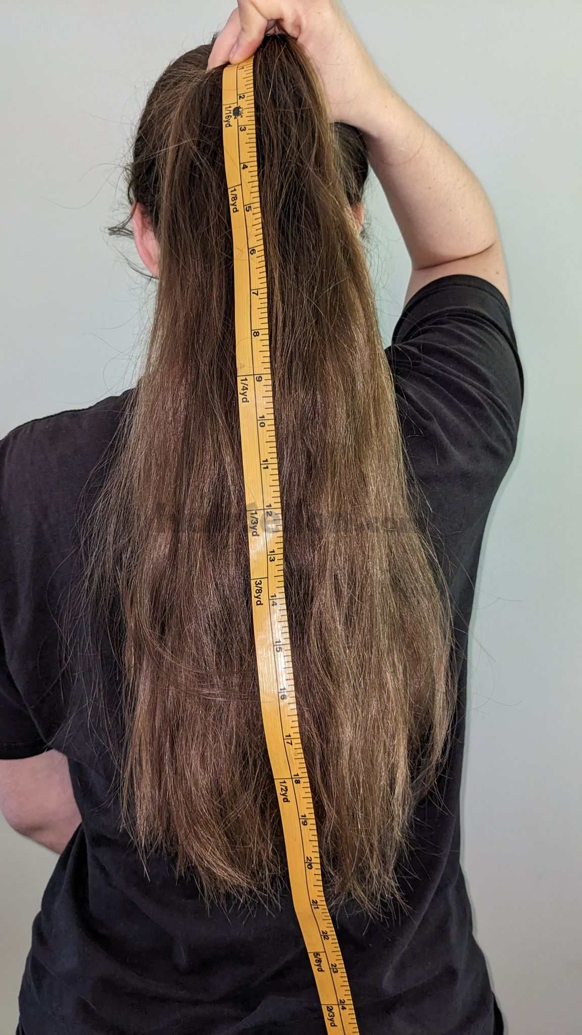 Ponytail Hair Length 1