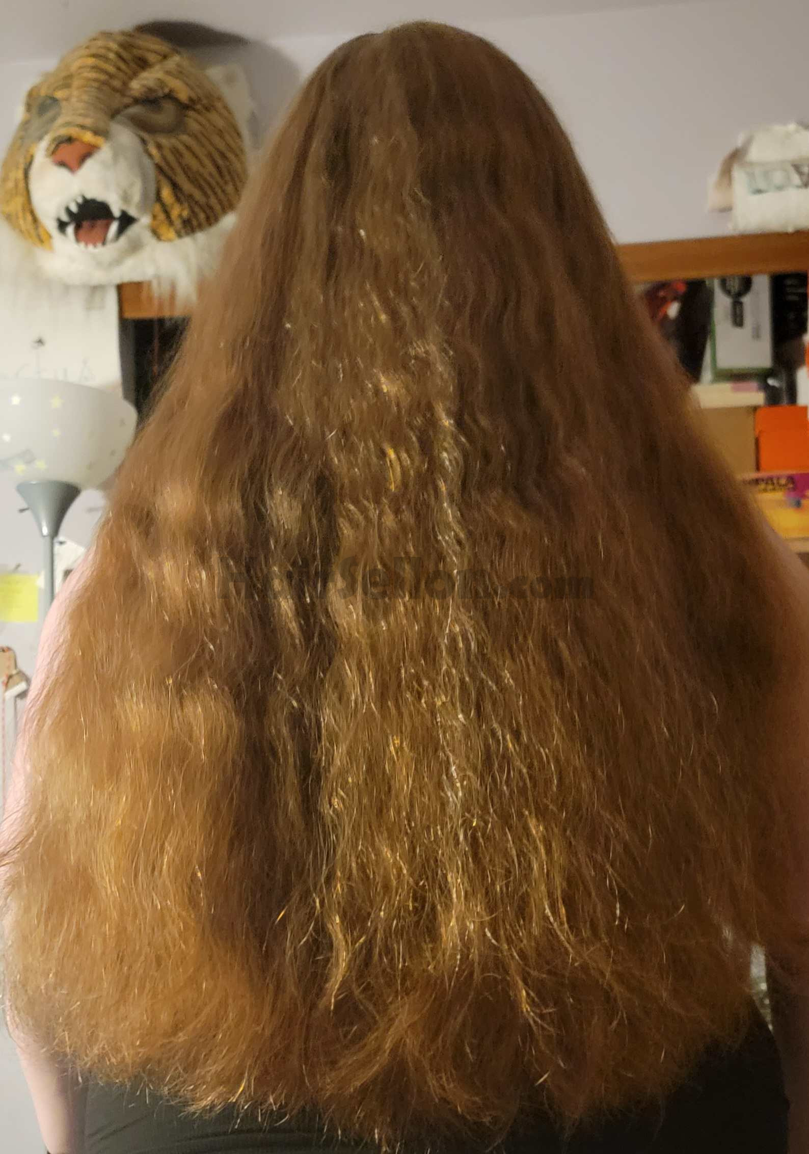 Hair