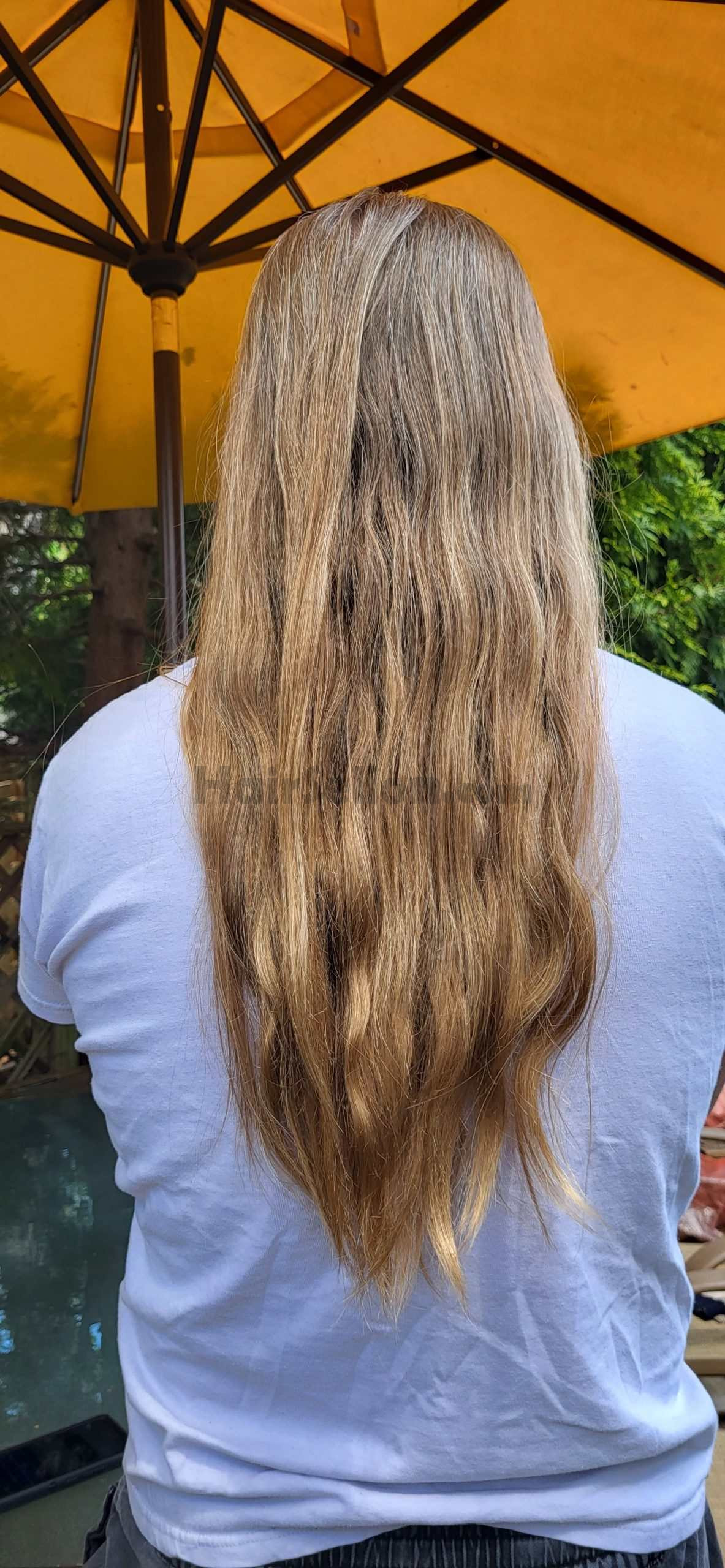 hair pic 2
