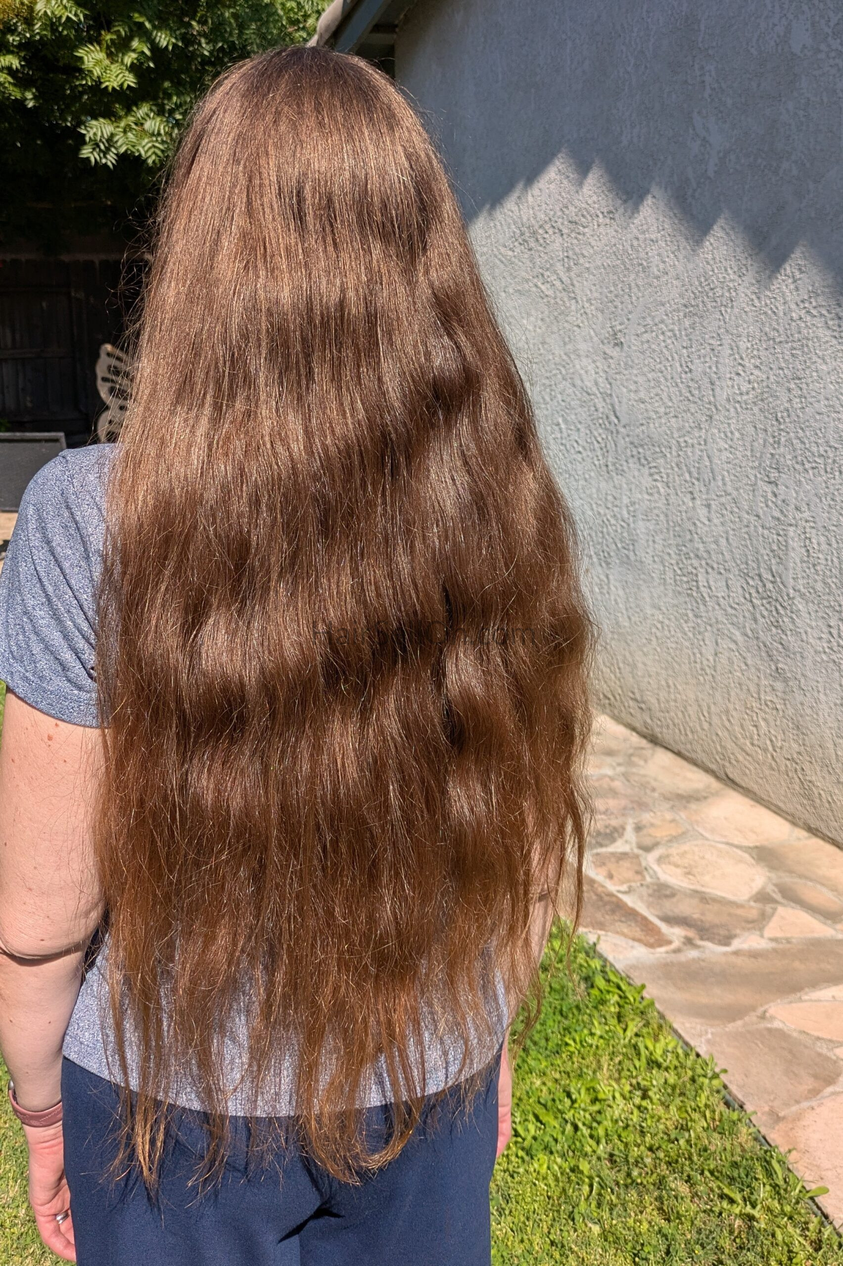 16 + inches of chestnut brown hair - HairSellon